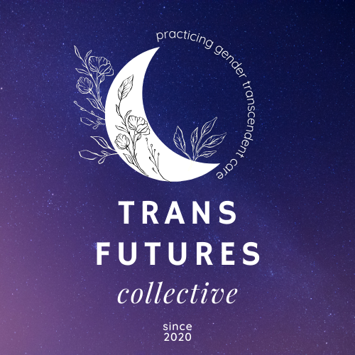 Trans Futures Collective